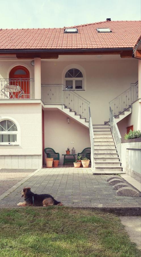 Prenocisca Angelin Hram, Tiny Apartments Markovec Extérieur photo